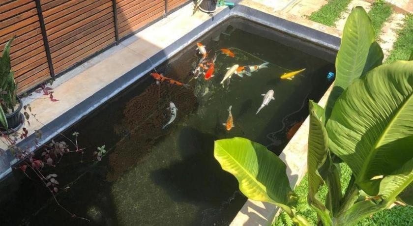 Palmhouse Hotel Mae Hong Son Bagian luar foto